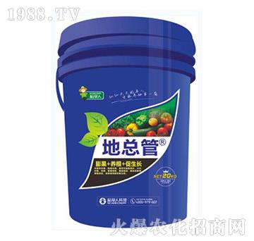 �ؿ���-������