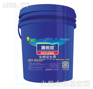 ���������L(zh��ng)-���y(t��ng)��-������