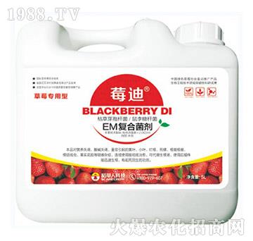 EM��(f��)�Ͼ���-ݮ��-������