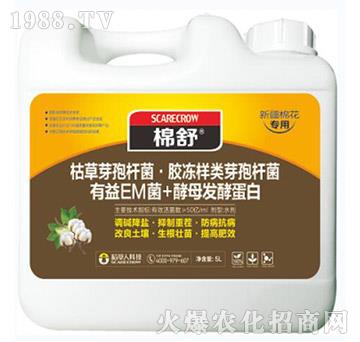 �����޻�����-����-������