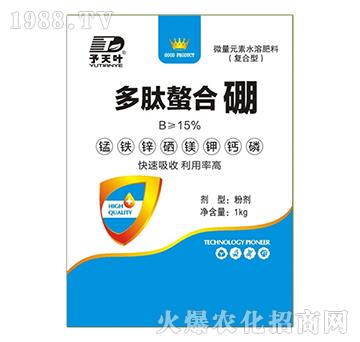 ����������-���~����