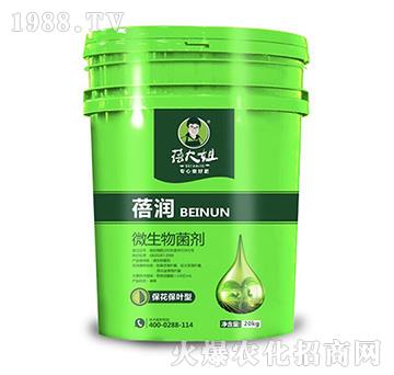 �������~��΢�������-�흙(r��n)-�����