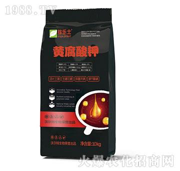 �S�����-�ژ�(l��)ʿ