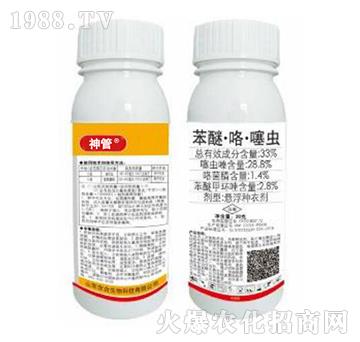 33%���ѡ��������x-���-�|������