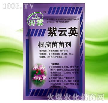 ����������-����Ӣ-(li��n)�I(y��)�r(n��ng)�I(y��)