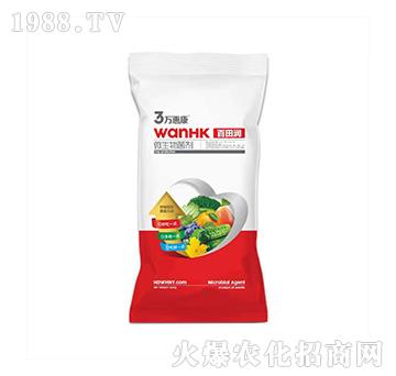 ΢�������-���-�f�ݿ�