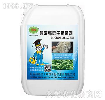 ����s΢�������-����