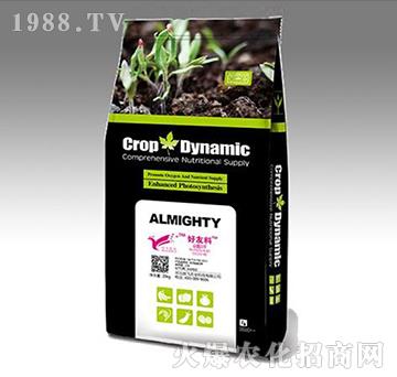 �����������-���w�r(n��ng)�I(y��)