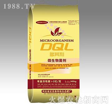 ΢�������-������-���w�r(n��ng)�I(y��)