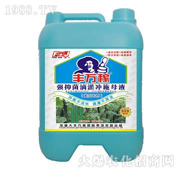 黃瓜專用強(qiáng)抑菌滴灌沖施母液-豐萬(wàn)稼