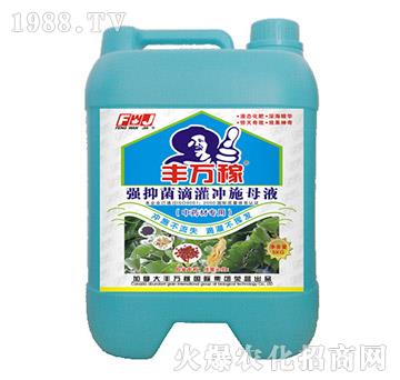 中藥材專用強抑菌滴灌沖施母液-豐萬稼