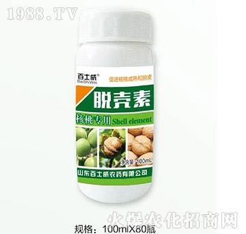 ���Ҍ���Ó����-��ʿ��