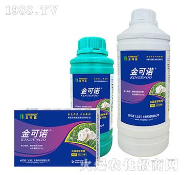 �������[����-����Z