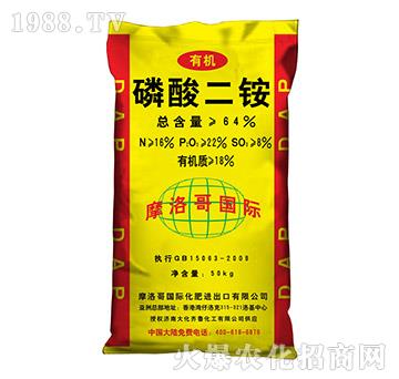 64%磷酸二銨-摩洛哥-大化齊魯