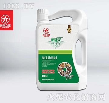 ΢�������-�����`-�ȿ�֮��