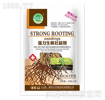 36�ˏ�(qi��ng)���������焩-��@���S-���S�ʘI(y��)