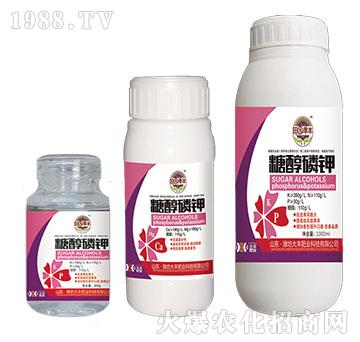 �Ǵ����-��@���S-���S�ʘI(y��)