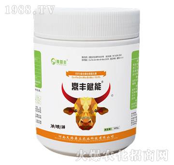 ���S�x��-���n����