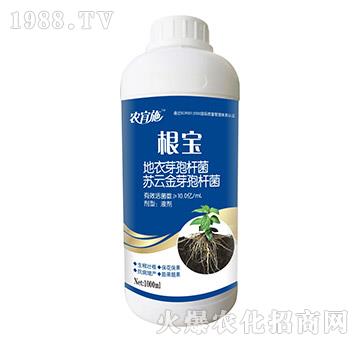 ����-�r(n��ng)��ʩ-��ķ�_(d��)