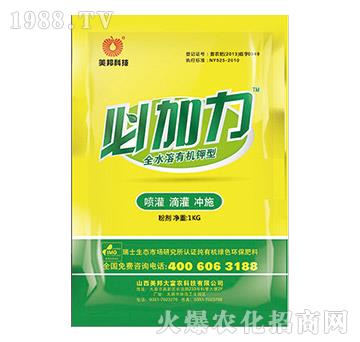 必加力-美邦科技