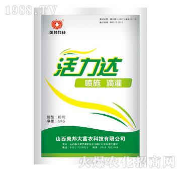 活力達-美邦科技