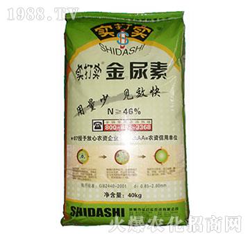 ������-��(sh��)��?q��)? />
                                </div>
                            </div>
                            
                            <style type=