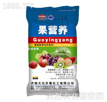 果營養(yǎng)-大化齊魯