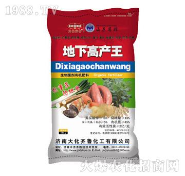 生物菌劑有機肥料-地下高產(chǎn)王-大化齊魯