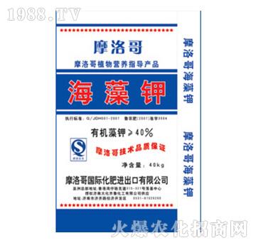 40%海藻鉀-摩洛哥-大化齊魯