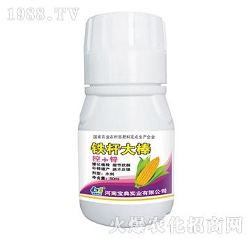 鐵桿大棒-寶典實業(yè)