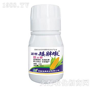 正世矮胖墩-寶典實業(yè)