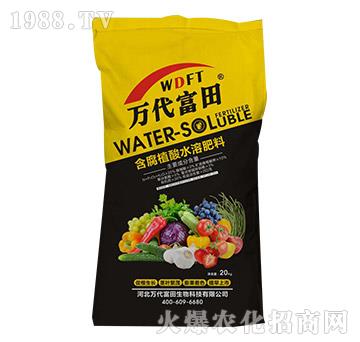 20kg����ֲ��ˮ�ܷ���-�к�Ҽ��