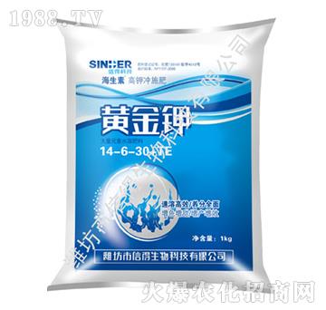 �S���-������-�ŵ�