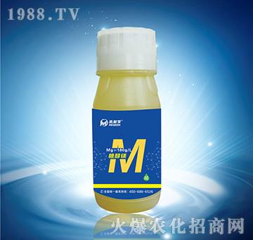 �Ǵ��V-�~����