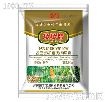 矮矮增-國豐健園