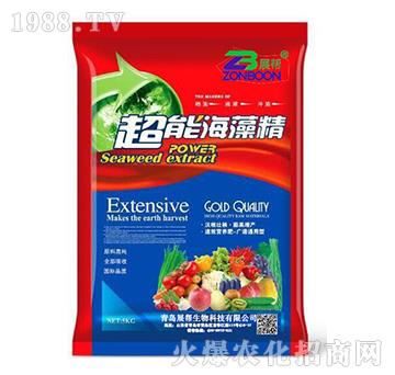 ���ܺ��徫-չ������