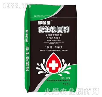 ΢�������-���Ɍ�-�������