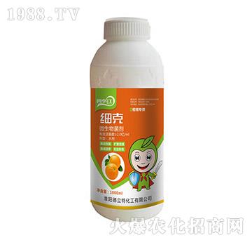 ��(x��)��-�ļ��t-������