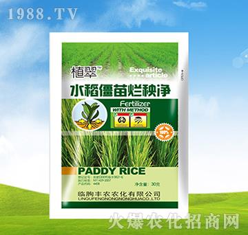 ˮ�����砀���-ֲ��-�S�r�r��