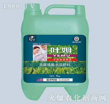 茶葉專配冬氨酸藻姆菌素-茶葉根補(bǔ)精-葉姆