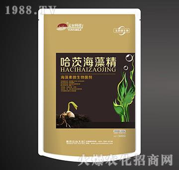 ������΢�������-���ĺ��徫-���_��