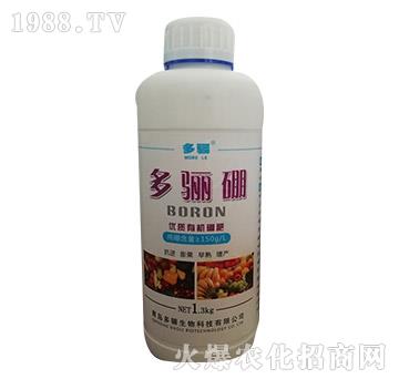 ���P��ƿ��-���P����