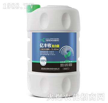 ����΢�������-�|�S�Տ�(f��)�Ͼ�-����̩