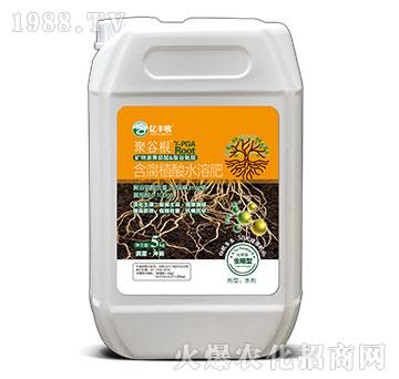 ����ֲ��ˮ�ܷ���-�۹ȸ�-�|�S��-����̩