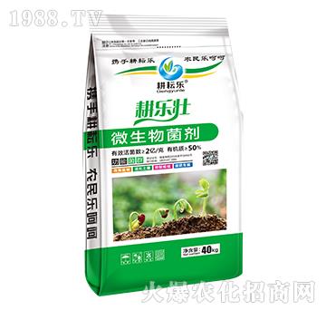 ΢�������-����(l��)��-���Ř�(l��)