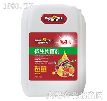 ΢�������-ʩ����-�~���~��