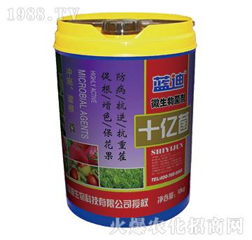 ΢�������-ʮ�|��-�{(l��n)���֠���