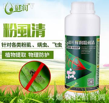 ��ʭ��-�r������