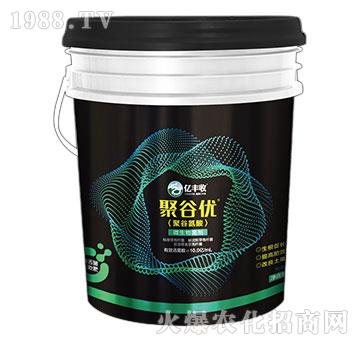 ΢�������-�۹ȃ�(y��u)-�|�S��-����̩