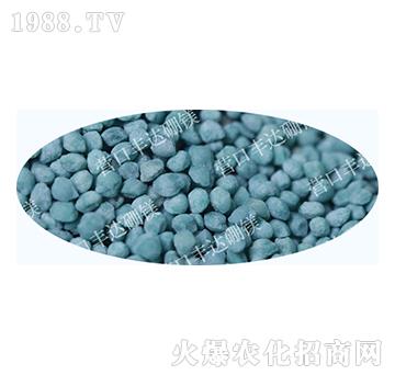 �����@���w��������-�S�_(d��)��